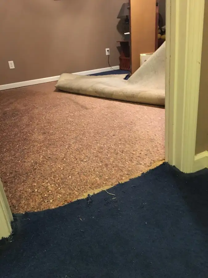 Carpet pad removal revealing water damage during Drying & Dehumidification in Crystal City