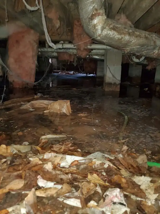 Crawl space flood assessment for Commercial Water Damage Restoration in Crystal City