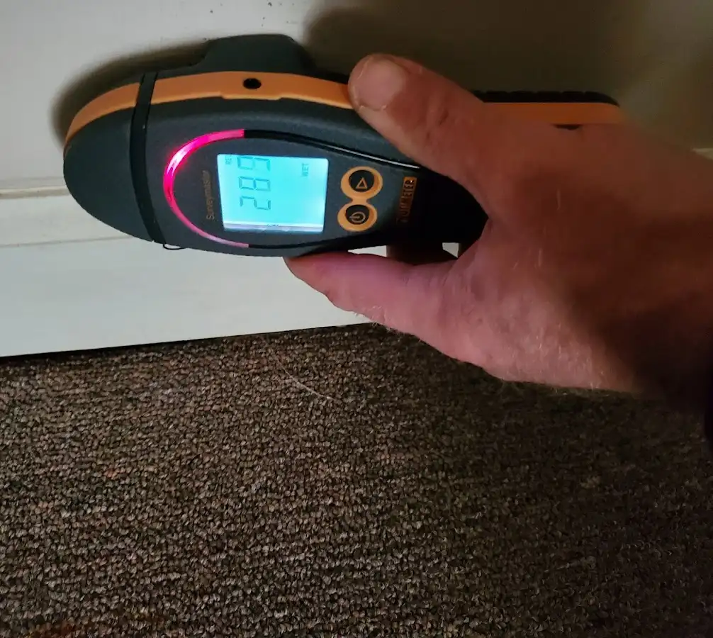 Moisture detection at baseboard during Sewage Cleanup & Sanitation in Crystal City